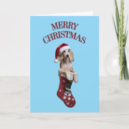 Schattige Saluki-hond Kerstmis Kaart