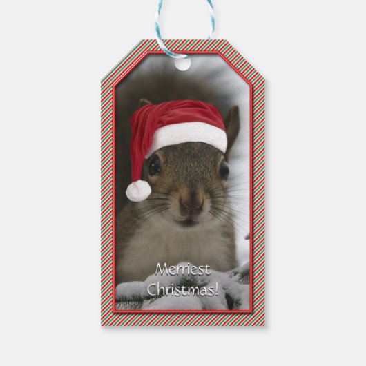 Schattige Santa Squirrel™ Draag Santa Hat Cadeaulabel (Achterkant)