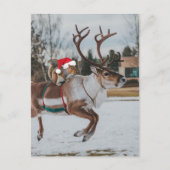 Schattige Santa Squirrel Leaping Reindeer in Snow Briefkaart (Voorkant)