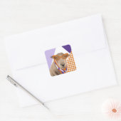 Schattige schaap met bril vierkante sticker (Envelop)
