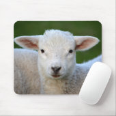 Schattige schaap muismat (Met muis)