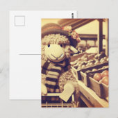 Schattige schapen briefkaart (Voorkant / Achterkant)