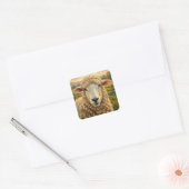Schattige schapen op een ranch  | Boerderijdieren Vierkante Sticker (Envelop)