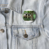 Schattige schapen ronde button 5,7 cm (In situ)