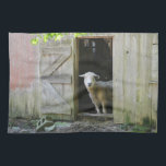 Schattige schapen theedoek<br><div class="desc">Deze keuken- of keukenhanddoek is voorzien van een zacht,  zacht schaap dat in de deur staat naar zijn huis in Connecticut.</div>