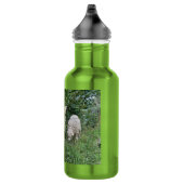 Schattige schapeneten bladeren waterfles (Rechts)