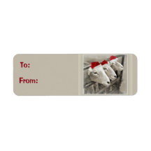 Schattige schapenvakantie cadeaubonnen