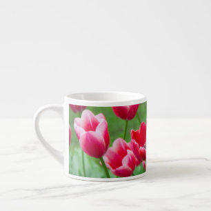 Schattige scharlaken tulpen in de tuin espresso kop