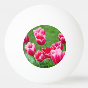 Schattige scharlaken tulpen in de tuin pingpongbal