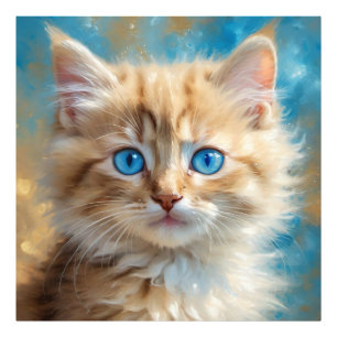 Schattige Schattig kitten Foto Afdruk