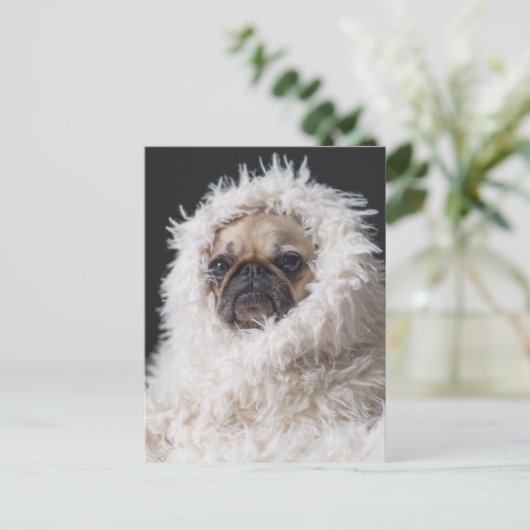 Schattige Schattigee Pug Puppy Dog Briefkaart (Staand voorkant)