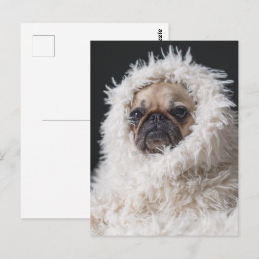 Schattige Schattigee Pug Puppy Dog Briefkaart (Voorkant / Achterkant)