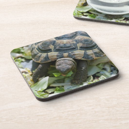 Schattige Schildpad Bier Onderzetter (Linkerzijde)