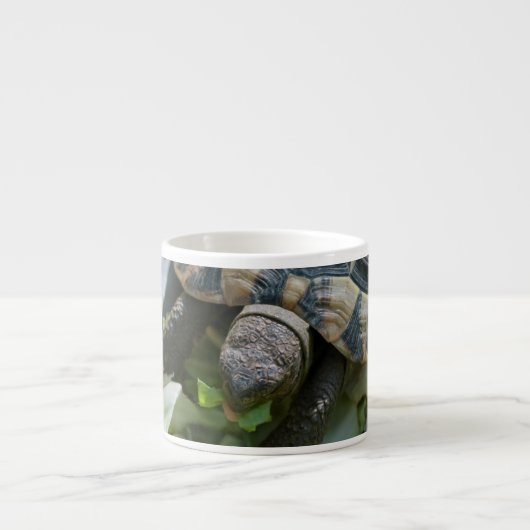 Schattige Schildpad Espresso Kop (Voorkant)