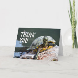 Schattige Schildpad Foto Bedankkaart