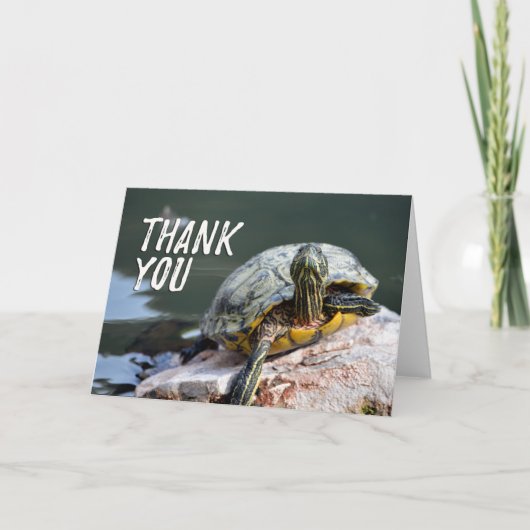 Schattige Schildpad Foto Bedankkaart (Voorkant)