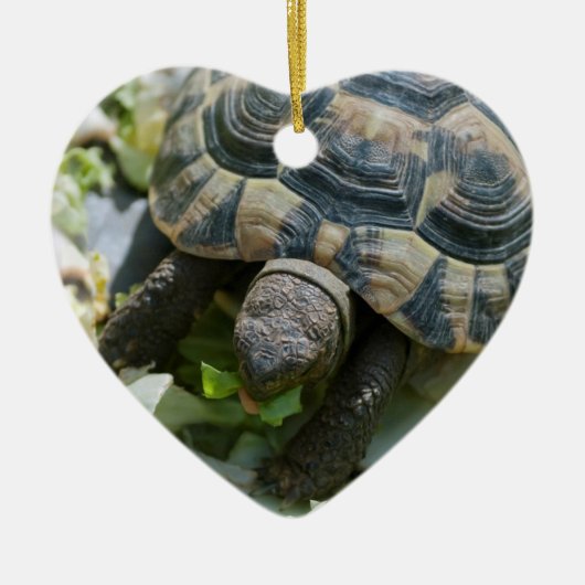 Schattige Schildpad Keramisch Ornament (Voorkant)