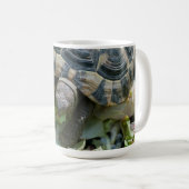 Schattige Schildpad Koffiemok (Voorkant rechts)