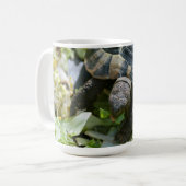 Schattige Schildpad Koffiemok (Voorkant links)