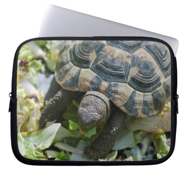 Schattige Schildpad Laptop Sleeve (Voorkant)