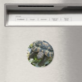 Schattige Schildpad Magneet (Insitu (Vaatwasser))