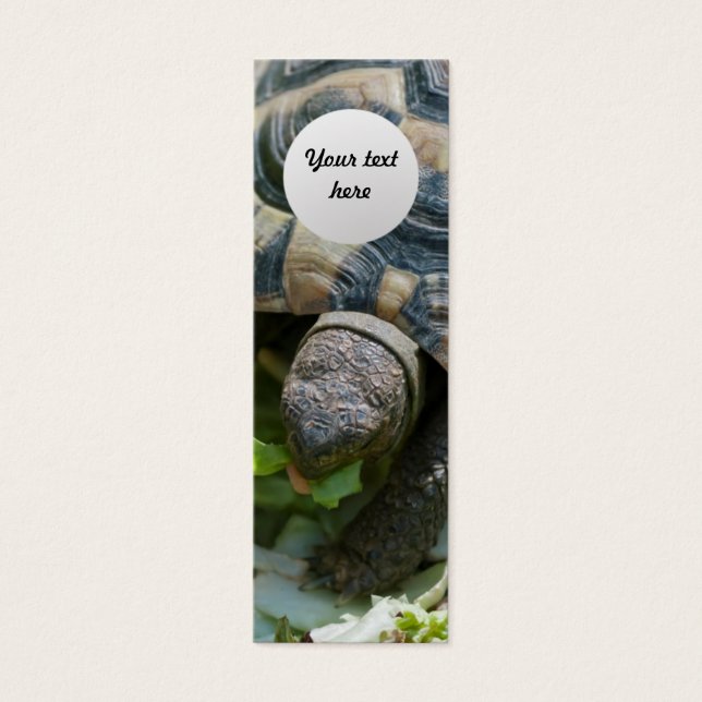 Schattige Schildpad Mini Visitekaartjes (Voorkant)