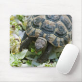 Schattige Schildpad Muismat (Met muis)