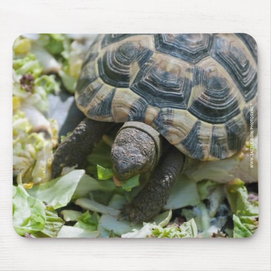 Schattige Schildpad Muismat (Voorkant)