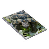 Schattige Schildpad Notitieboek (Rechterzijde)