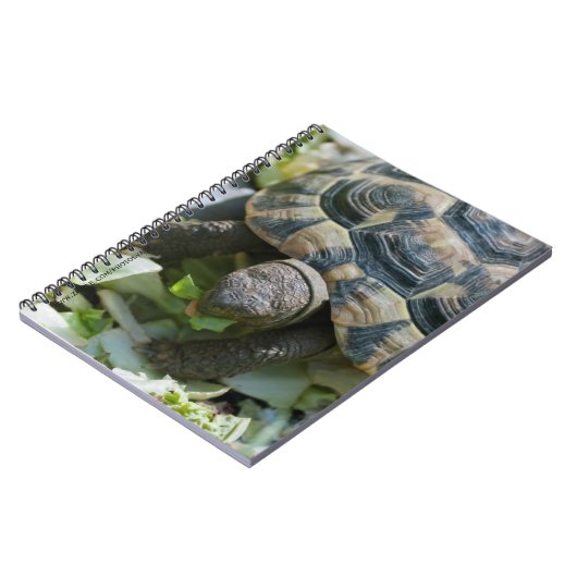 Schattige Schildpad Notitieboek (Linkerzijde)