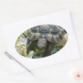 Schattige Schildpad Ovale Sticker (Envelop)
