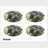 Schattige Schildpad Ovale Sticker (Vel)