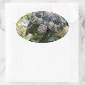 Schattige Schildpad Ovale Sticker (Tas)