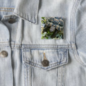 Schattige Schildpad Vierkante Button 5,1 Cm (In situ)