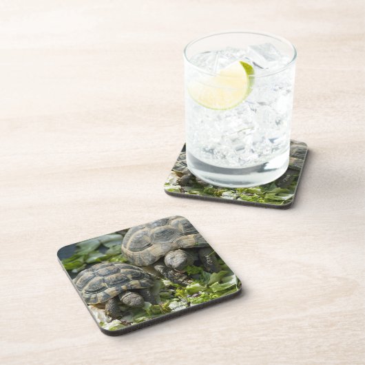 Schattige schildpadden drankjes onderzetter (Rechterzijde)