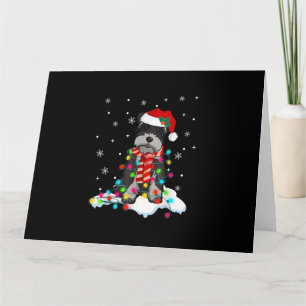 schattige schnauzer kerstverlichting met kerstman  kaart