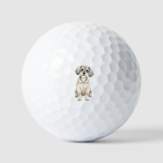 Schattige schnauzer langharige hond golfballen
