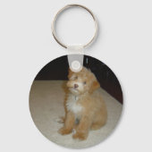 Schattige schnoedelpuppy sleutelhanger (Voorkant)