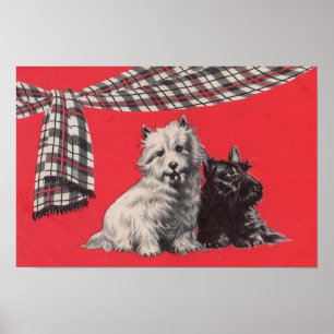 schattige Schotse doodsbanners Poster