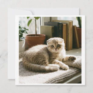Schattige Schotse Fold Kat Uitnodiging Gezellige K