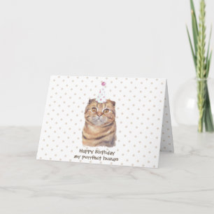 Schattige Schotse Fold Kortharige Kat met Feestmut Kaart