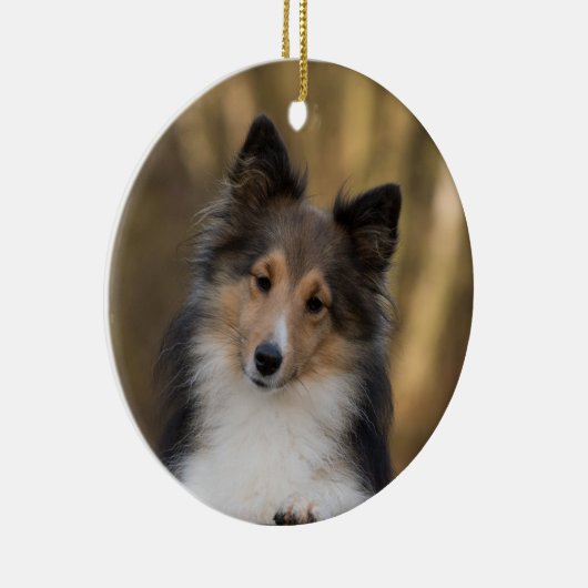 Schattige Sheltie Keramisch Ornament (Rechts)