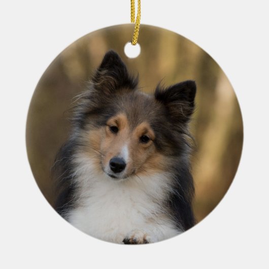 Schattige Sheltie Keramisch Ornament (Voorkant)