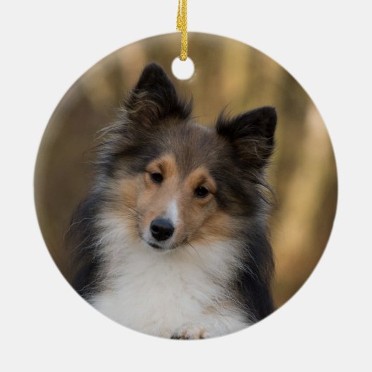 Schattige Sheltie Keramisch Ornament (Achterkant)