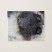 Schattige Sheltie Legpuzzel (Horizontaal)