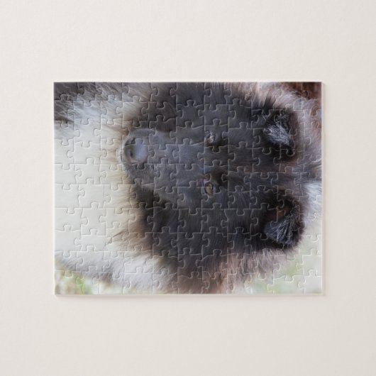 Schattige Sheltie Legpuzzel (Horizontaal)