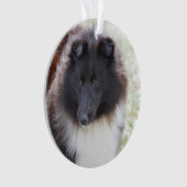 Schattige Sheltie Ornament (voorkant)
