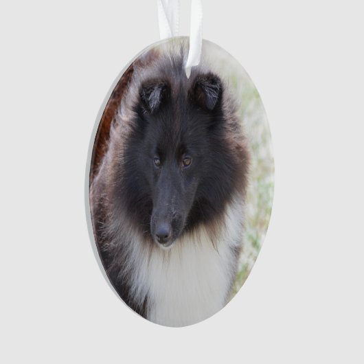 Schattige Sheltie Ornament (voorkant)