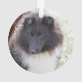 Schattige Sheltie Ornament (achterkant)