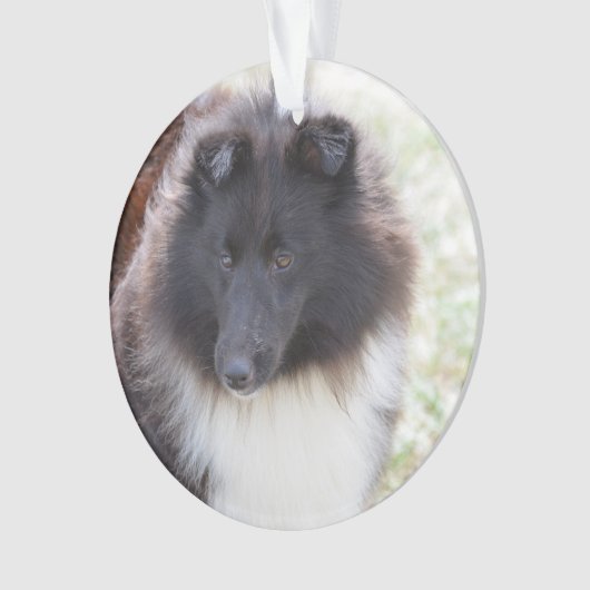 Schattige Sheltie Ornament (voorkant)